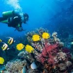 Vakantietrends op de ABC-eilanden